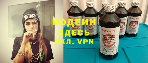 молекула духа Алзамай