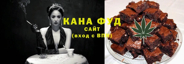 сатива Новозыбков
