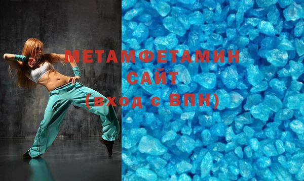сатива Новозыбков