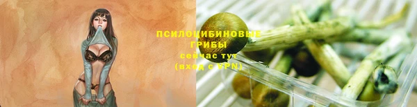 молекула духа Алзамай