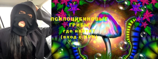 дмт Арсеньев