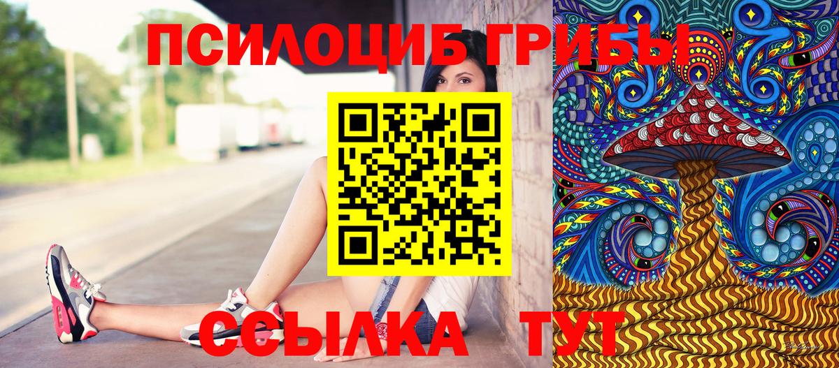 Галлюциногенные грибы GOLDEN TEACHER  Вход с VPN  Мытищи 