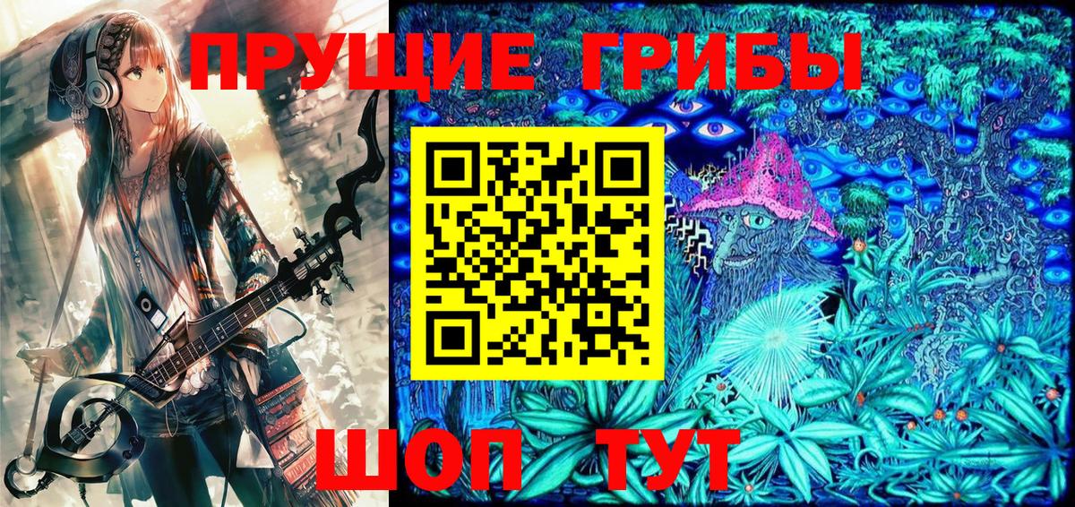 Псилоцибиновые грибы Psilocybine cubensis Мытищи
