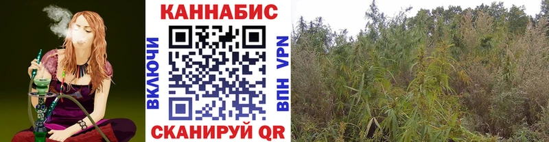 закладка  Мытищи  Шишки марихуана THC 21% 