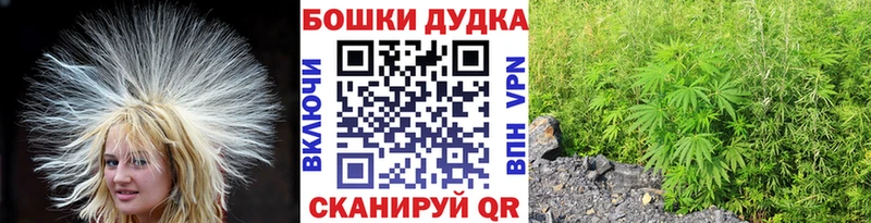Конопля Amnesia Мытищи